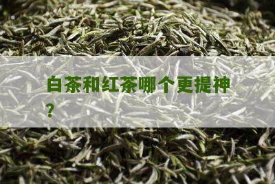 白茶和红茶哪个更提神？