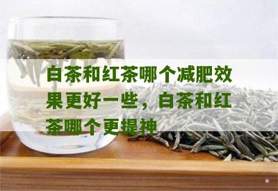 白茶和红茶哪个减肥效果更好一些，白茶和红茶哪个更提神