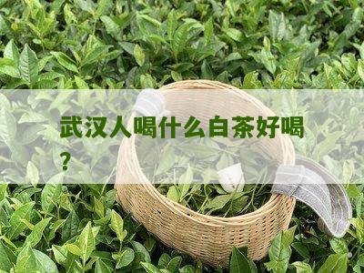 武汉人喝什么白茶好喝？