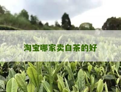 淘宝哪家卖白茶的好