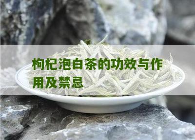 枸杞泡白茶的功效与作用及禁忌