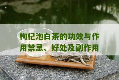 枸杞泡白茶的功效与作用禁忌、好处及副作用