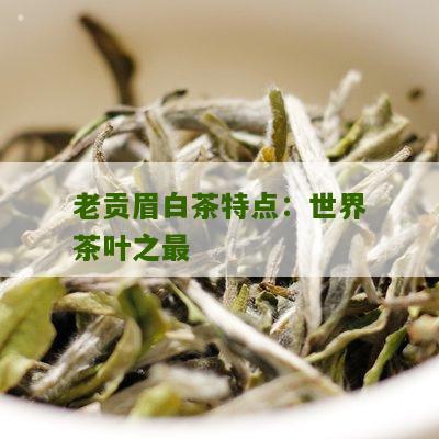 老贡眉白茶特点：世界茶叶之最