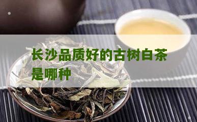 长沙品质好的古树白茶是哪种