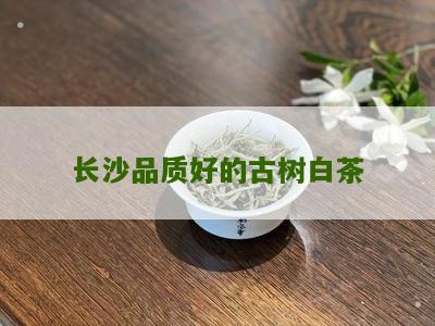 长沙品质好的古树白茶