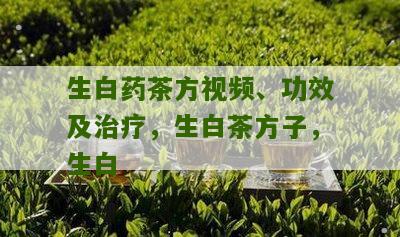 生白药茶方视频、功效及治疗，生白茶方子，生白