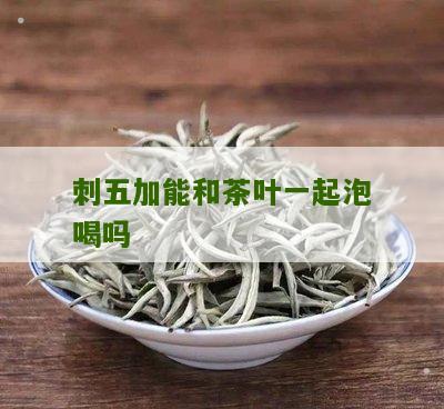 刺五加能和茶叶一起泡喝吗