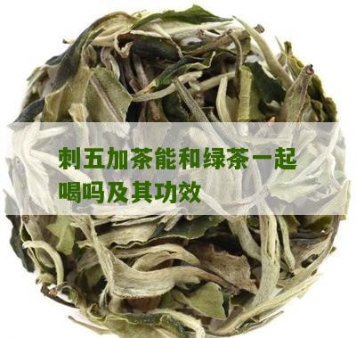 刺五加茶能和绿茶一起喝吗及其功效