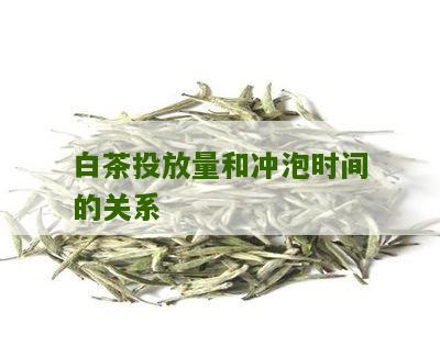 白茶投放量和冲泡时间的关系