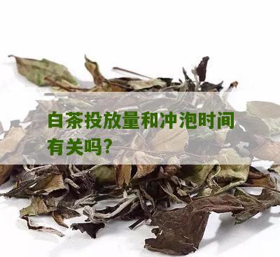 白茶投放量和冲泡时间有关吗?