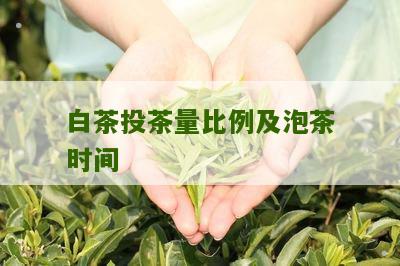 白茶投茶量比例及泡茶时间