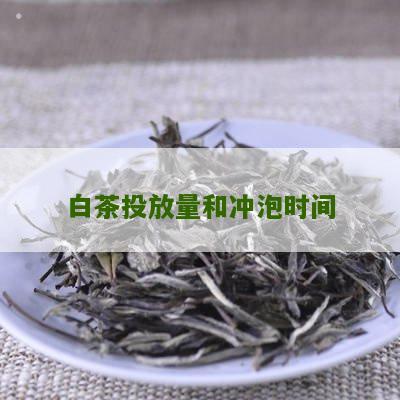 白茶投放量和冲泡时间