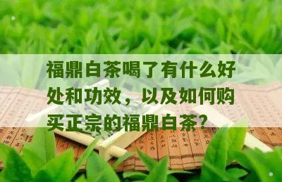 福鼎白茶喝了有什么好处和功效，以及如何购买正宗的福鼎白茶?