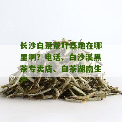 长沙白茶茶叶基地在哪里啊？电话、白沙溪黑茶专卖店、白茶湖南生产