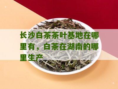 长沙白茶茶叶基地在哪里有，白茶在湖南的哪里生产