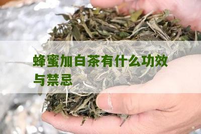 蜂蜜加白茶有什么功效与禁忌