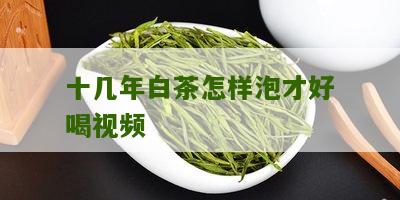 十几年白茶怎样泡才好喝视频