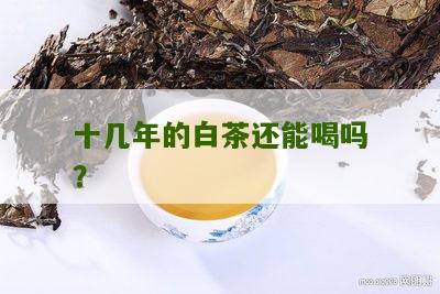 十几年的白茶还能喝吗？