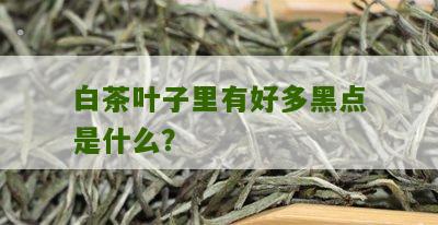 白茶叶子里有好多黑点是什么？