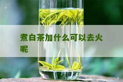 煮白茶加什么可以去火呢