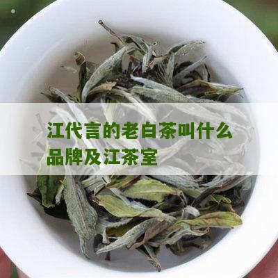 江代言的老白茶叫什么品牌及江茶室