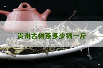 贵州古树茶多少钱一斤