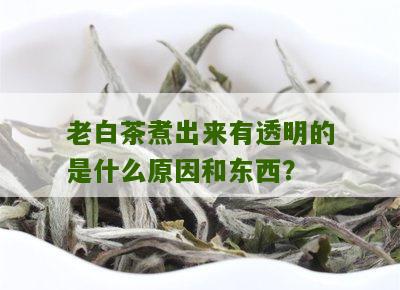 老白茶煮出来有透明的是什么原因和东西？