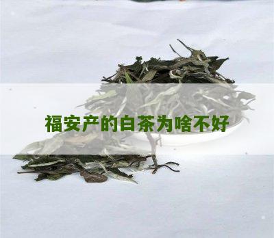 福安产的白茶为啥不好