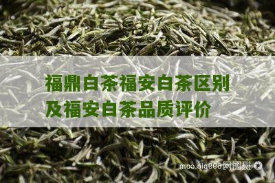 福鼎白茶福安白茶区别及福安白茶品质评价