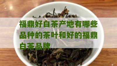 福鼎好白茶产地有哪些品种的茶叶和好的福鼎白茶品牌