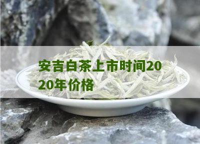 安吉白茶上市时间2020年价格