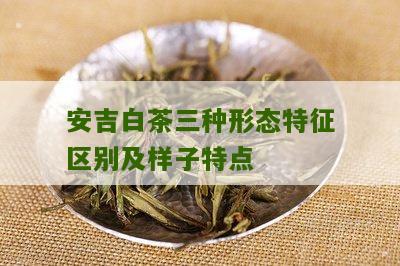 安吉白茶三种形态特征区别及样子特点