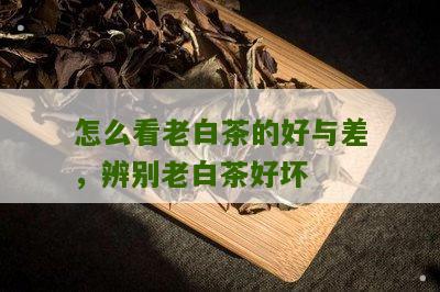 怎么看老白茶的好与差，辨别老白茶好坏