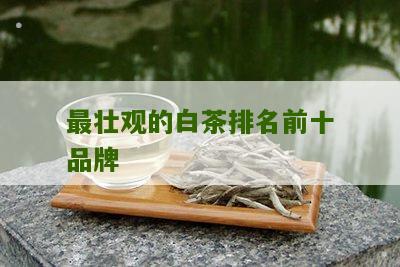 最壮观的白茶排名前十品牌