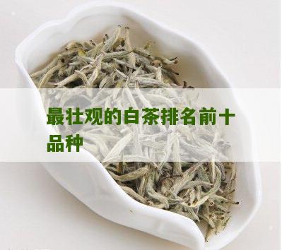 最壮观的白茶排名前十品种