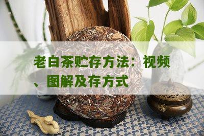 老白茶贮存方法：视频、图解及存方式