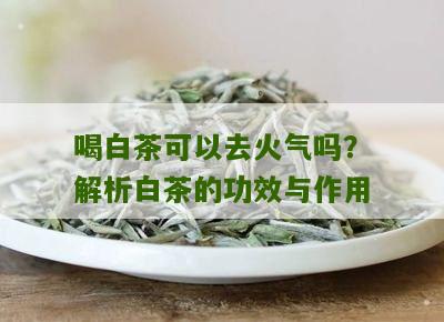 喝白茶可以去火气吗？解析白茶的功效与作用