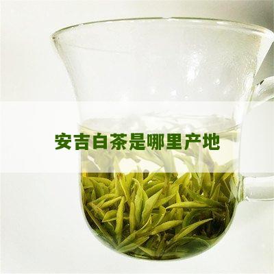 安吉白茶是哪里产地