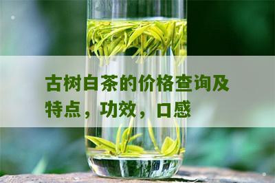 古树白茶的价格查询及特点，功效，口感