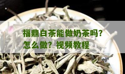 福鼎白茶能做奶茶吗？怎么做？视频教程