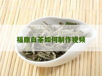 福鼎白茶如何制作视频