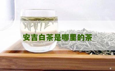 安吉白茶是哪里的茶