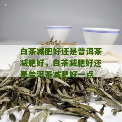 白茶减肥好还是普洱茶减肥好，白茶减肥好还是普洱茶减肥好一点