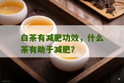 白茶有减肥功效，什么茶有助于减肥？