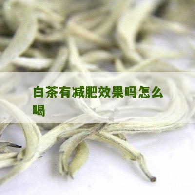 白茶有减肥效果吗怎么喝