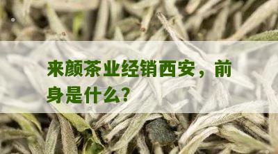 来颜茶业经销西安，前身是什么？