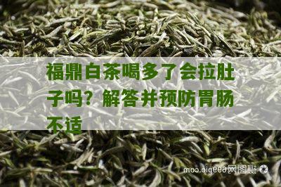 福鼎白茶喝多了会拉肚子吗？解答并预防胃肠不适