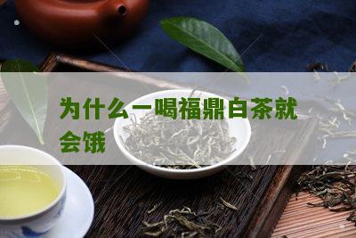 为什么一喝福鼎白茶就会饿