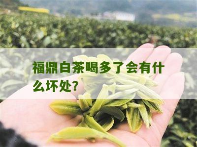 福鼎白茶喝多了会有什么坏处？