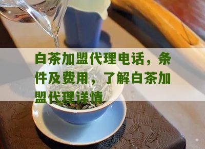 白茶加盟代理电话，条件及费用，了解白茶加盟代理详情